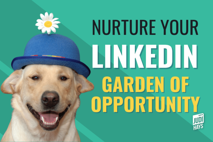 Nurture Your LinkedIn Garden